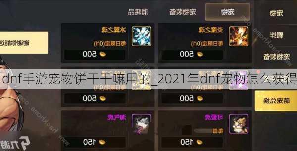 dnf手游宠物饼干干嘛用的_2021年dnf宠物怎么获得