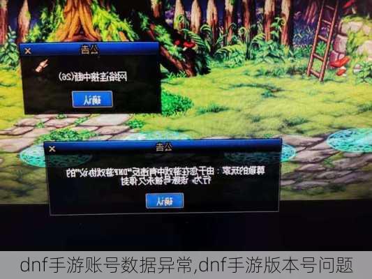 dnf手游账号数据异常,dnf手游版本号问题