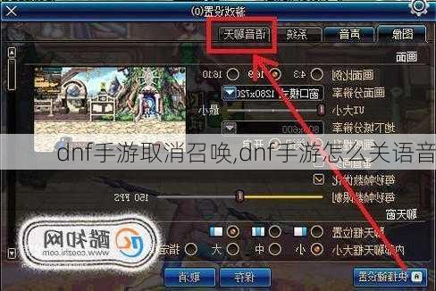 dnf手游取消召唤,dnf手游怎么关语音