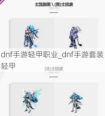 dnf手游轻甲职业_dnf手游套装轻甲