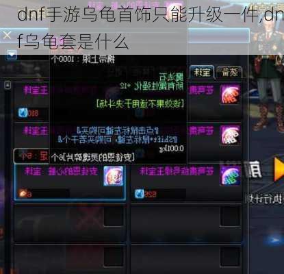 dnf手游乌龟首饰只能升级一件,dnf乌龟套是什么