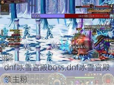 dnf冰雪宫殿boss,dnf冰雪宫殿领主粉