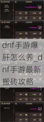 dnf手游爆肝怎么养_dnf手游最新搬砖攻略