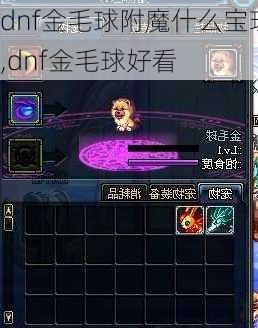 dnf金毛球附魔什么宝珠,dnf金毛球好看