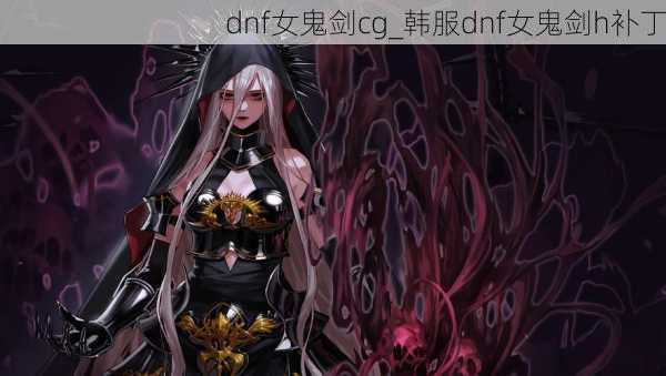 dnf女鬼剑cg_韩服dnf女鬼剑h补丁