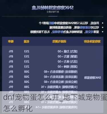 dnf宠物蛋怎么开_地下城宠物蛋怎么孵化
