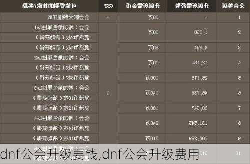 dnf公会升级要钱,dnf公会升级费用