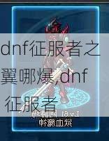 dnf征服者之翼哪爆,dnf 征服者