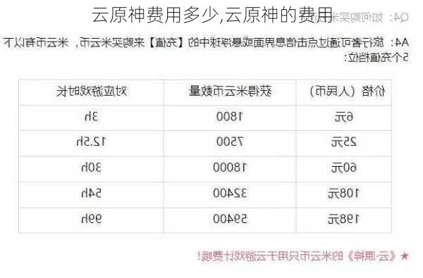 云原神费用多少,云原神的费用