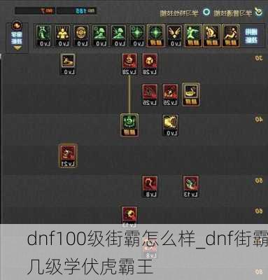 dnf100级街霸怎么样_dnf街霸几级学伏虎霸王