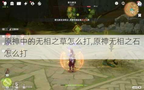 原神中的无相之草怎么打,原神无相之石怎么打