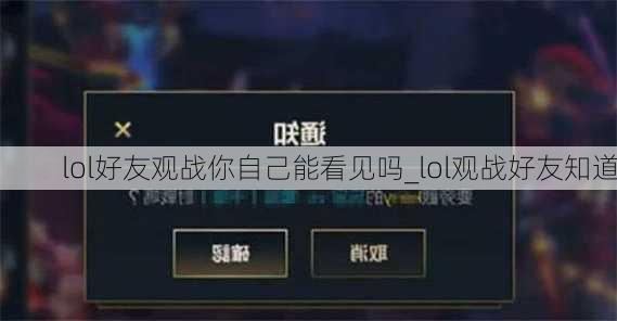 lol好友观战你自己能看见吗_lol观战好友知道