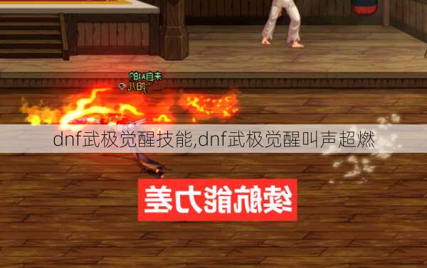 dnf武极觉醒技能,dnf武极觉醒叫声超燃