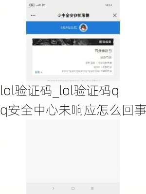 lol验证码_lol验证码qq安全中心未响应怎么回事