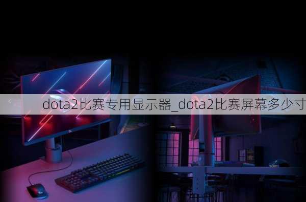 dota2比赛专用显示器_dota2比赛屏幕多少寸