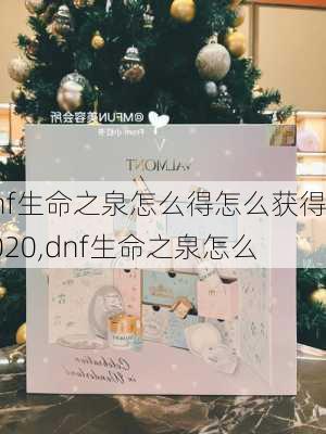 dnf生命之泉怎么得怎么获得2020,dnf生命之泉怎么