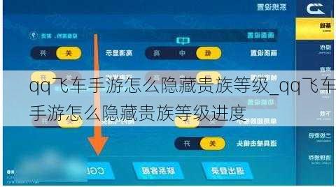 qq飞车手游怎么隐藏贵族等级_qq飞车手游怎么隐藏贵族等级进度