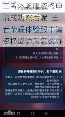 王者体验服资格申请成功然后呢_王者荣耀体验服申请资格成功后怎么办