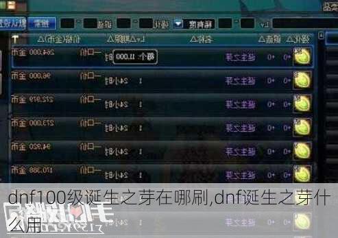 dnf100级诞生之芽在哪刷,dnf诞生之芽什么用