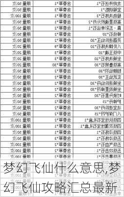 梦幻飞仙什么意思,梦幻飞仙攻略汇总最新