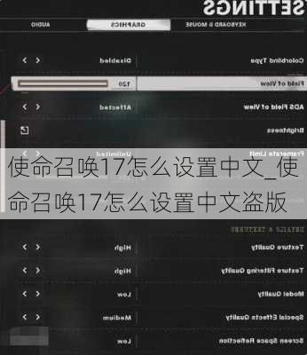 使命召唤17怎么设置中文_使命召唤17怎么设置中文盗版