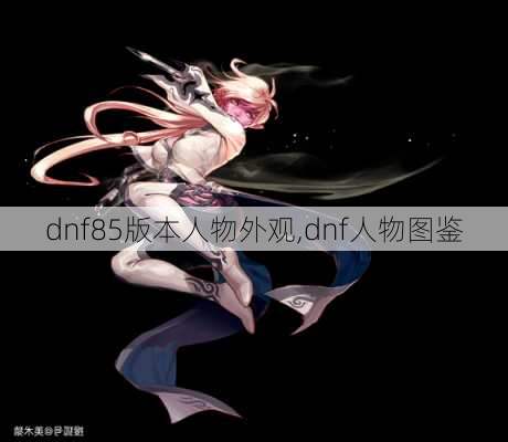 dnf85版本人物外观,dnf人物图鉴