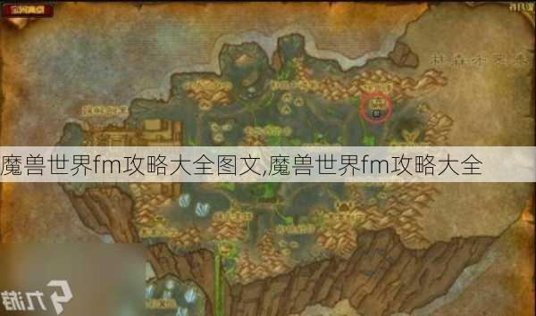 魔兽世界fm攻略大全图文,魔兽世界fm攻略大全