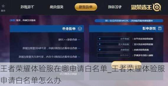 王者荣耀体验服在哪申请白名单_王者荣耀体验服申请白名单怎么办