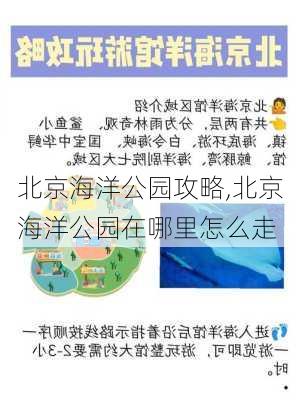 北京海洋公园攻略,北京海洋公园在哪里怎么走