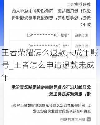 王者荣耀怎么退款未成年账号_王者怎么申请退款未成年