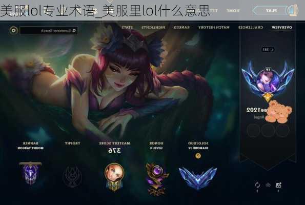 美服lol专业术语_美服里lol什么意思