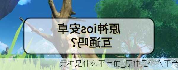 元神是什么平台的_原神是什么平台