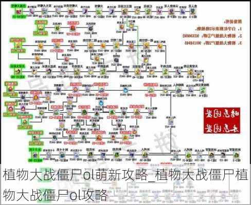 植物大战僵尸ol萌新攻略_植物大战僵尸植物大战僵尸ol攻略