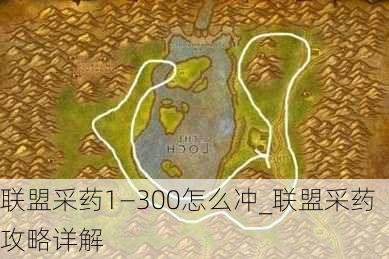 联盟采药1—300怎么冲_联盟采药攻略详解