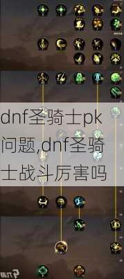 dnf圣骑士pk问题,dnf圣骑士战斗厉害吗