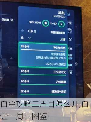 白金攻略二周目怎么开,白金一周目图鉴