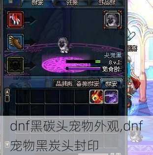 dnf黑碳头宠物外观,dnf宠物黑炭头封印