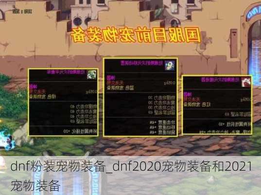 dnf粉装宠物装备_dnf2020宠物装备和2021宠物装备