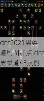 dnf2021男柔道刷图加点,dnf男柔道45技能