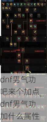 dnf男气功吧来个加点_dnf男气功加什么属性