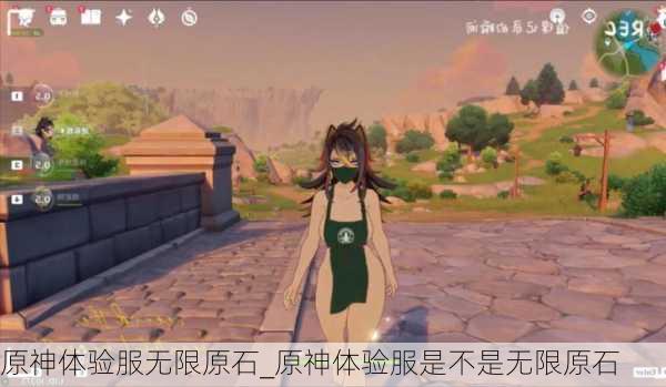 原神体验服无限原石_原神体验服是不是无限原石