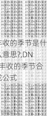 丰收的季节是什么意思?,DNF丰收的季节合成公式