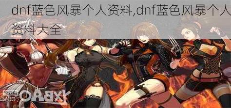 dnf蓝色风暴个人资料,dnf蓝色风暴个人资料大全