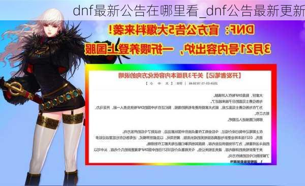 dnf最新公告在哪里看_dnf公告最新更新