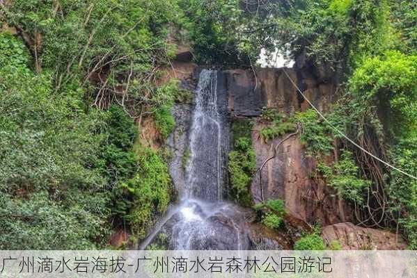 广州滴水岩海拔-广州滴水岩森林公园游记