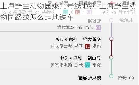 上海野生动物园乘几号线地铁-上海野生动物园路线怎么走地铁车