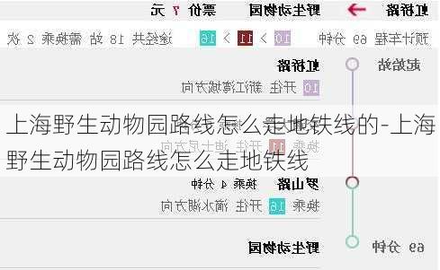 上海野生动物园路线怎么走地铁线的-上海野生动物园路线怎么走地铁线