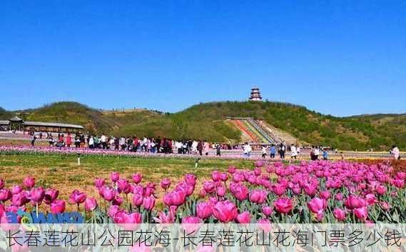 长春莲花山公园花海-长春莲花山花海门票多少钱