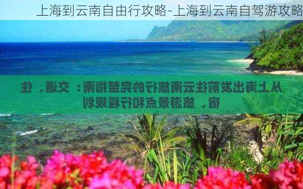 上海到云南自由行攻略-上海到云南自驾游攻略