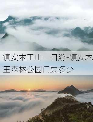 镇安木王山一日游-镇安木王森林公园门票多少